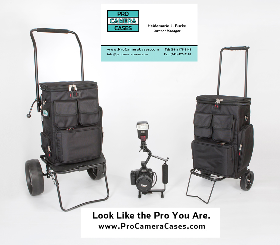 Pro Camera Cases Flyer - Look like the PRO you are